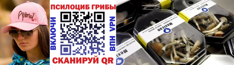 Псилоцибиновые грибы ЛСД  Купить  Красновишерск 